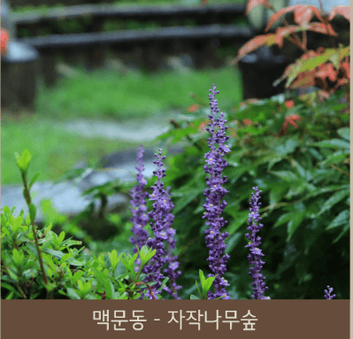 화담숲 예약 (ft. 할인 정보)