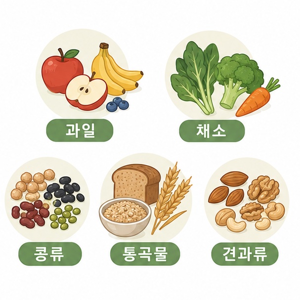 과일과 채소, 콩류, 통곡물과 견과류가 식이섬유를 섭취할 수 있는 대표적인 식품임을 보여주는 그림