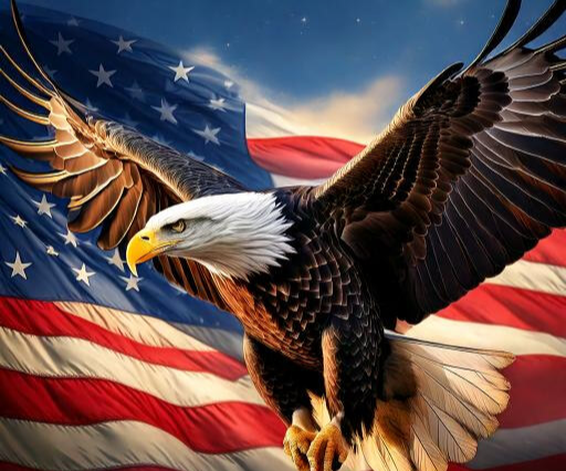 2024 미국 대선, 미국 대선 일정, 미국 대선 후보, 해리스 당선 한국 영향, 트럼프 당선 한국 영향, 한미 관계 전망, 미국 대선 한국, 한미 동맹, 미국 대선 여론조사, 해리스 대선 공약, 트럼프 대선 공약, 미중 갈등, 방위비 분담금, 대북 정책, 미국 대선 한국 경제, 기후 협력