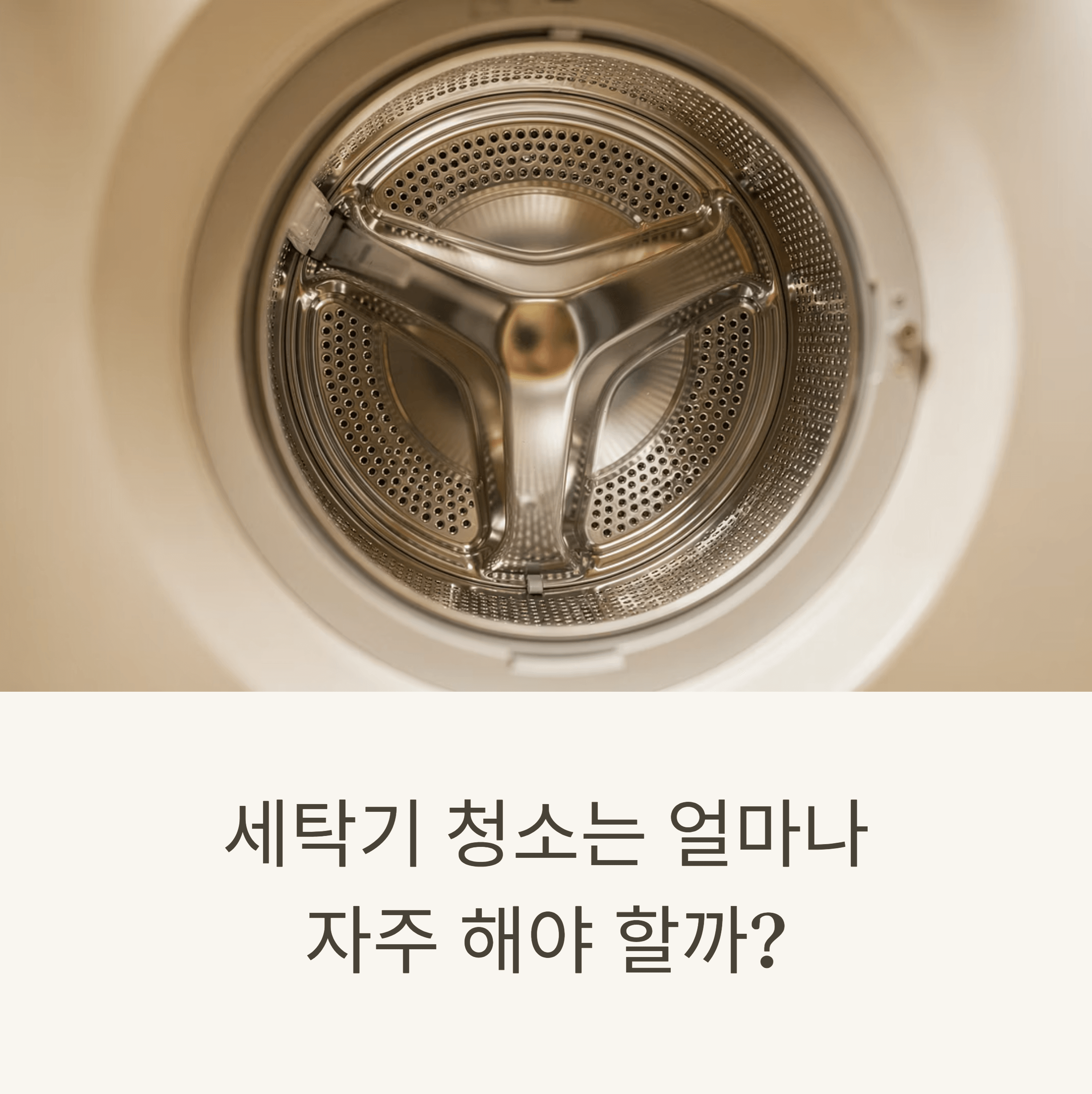 세탁기 청소는 얼마나 자주 해야 할까? 3주 간격이 적당한 이유