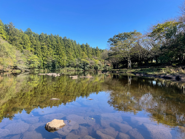 제주도 숨은명소 천미천