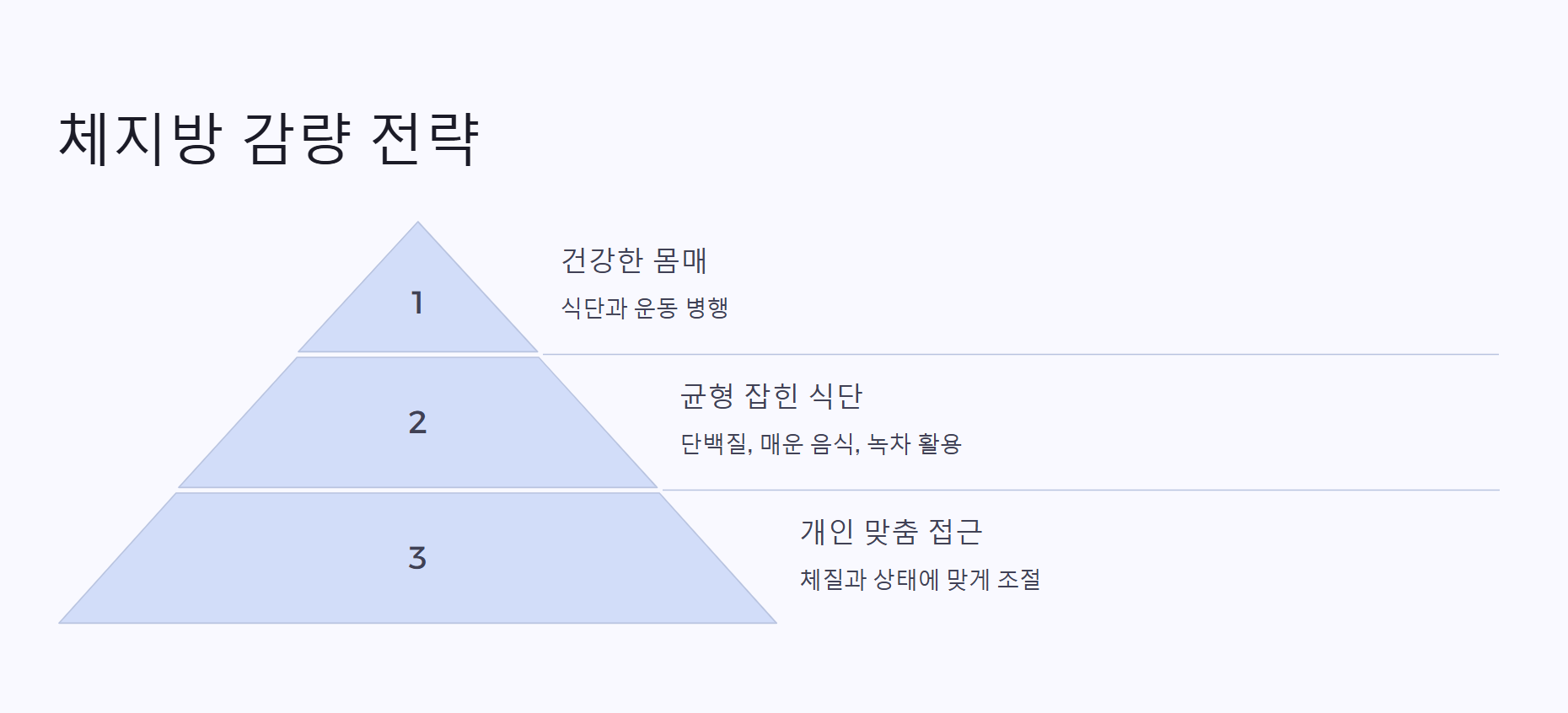 체지방 감량 전략