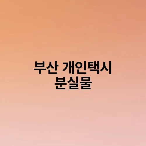 부산 개인택시 분실물