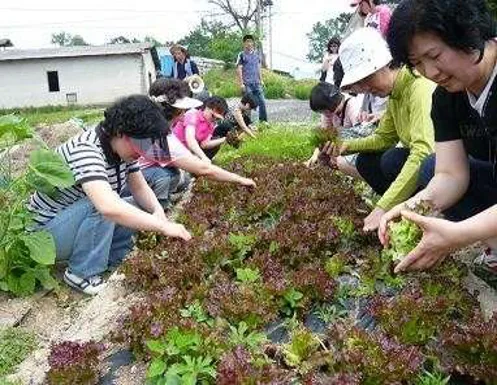노승산우무실마을