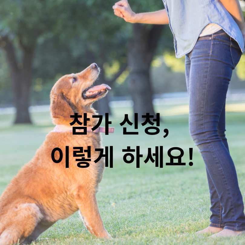 2025 서울 반려견 올림픽 신청 방법