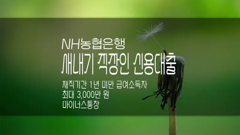 NH농협은행 새내기 직장인 신용대출 한도 및 금리, 마이너스통장 가능