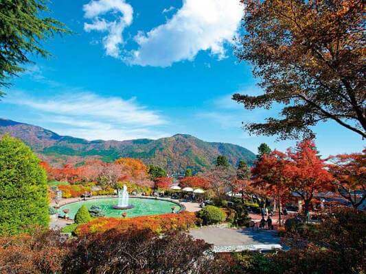 하코네고라공원