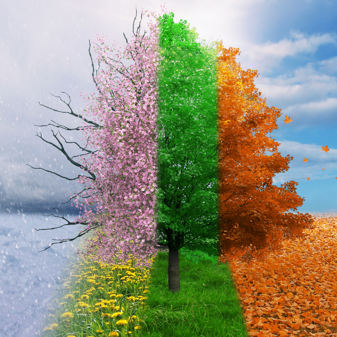 계절별 메이크업과 패션의 조화 봄, 여름, 가을, 겨울