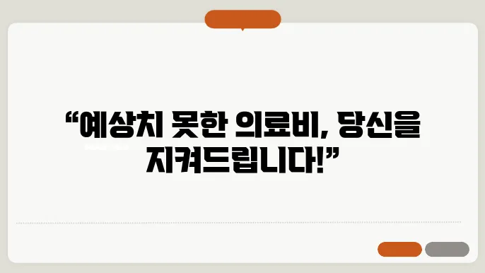 재난적 의료비 지원 사업의 발전 방향