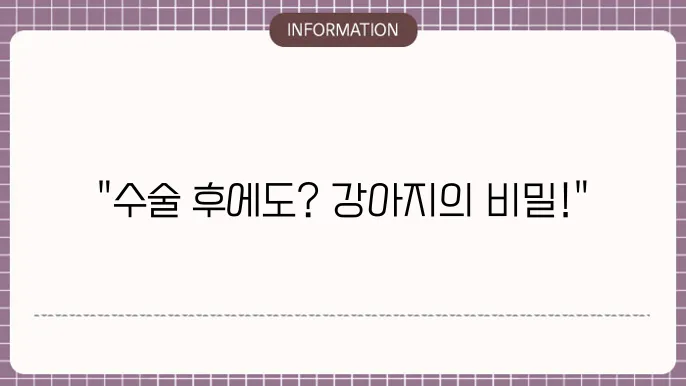강아지 중성화수술후 마운팅 행동