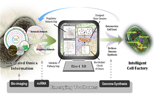 <그림 2> 합성생물학 및 응용 개념도/KAIST bio design