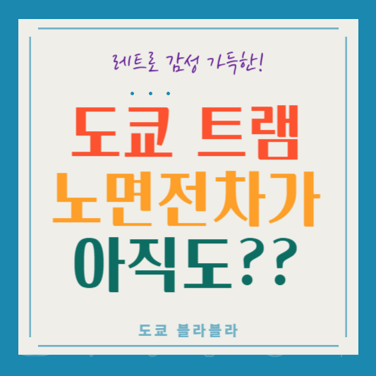 도쿄의 이색 교통수단, 트램 노면전차