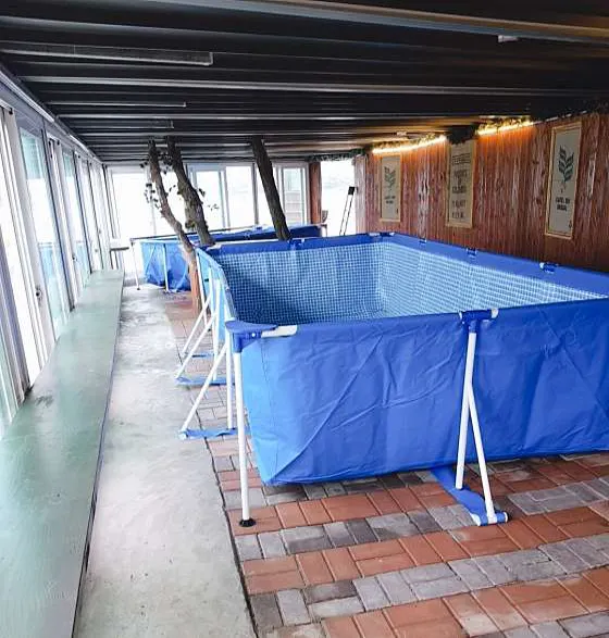 토끼와거북이펜션