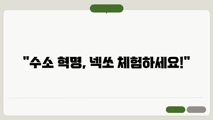 넥쏘 시승 신청