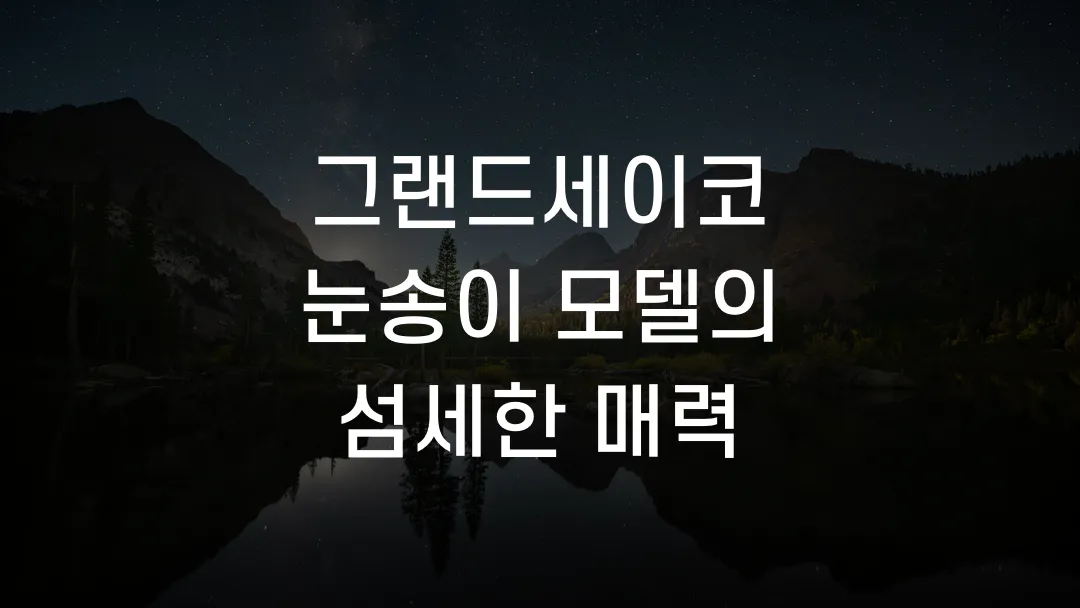 그랜드세이코 눈송이 모델의 섬세한 매력