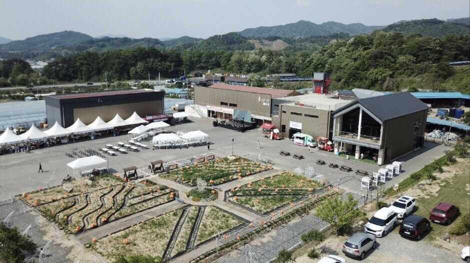 가을 여행지 강원도 단풍 구경 추천 장소