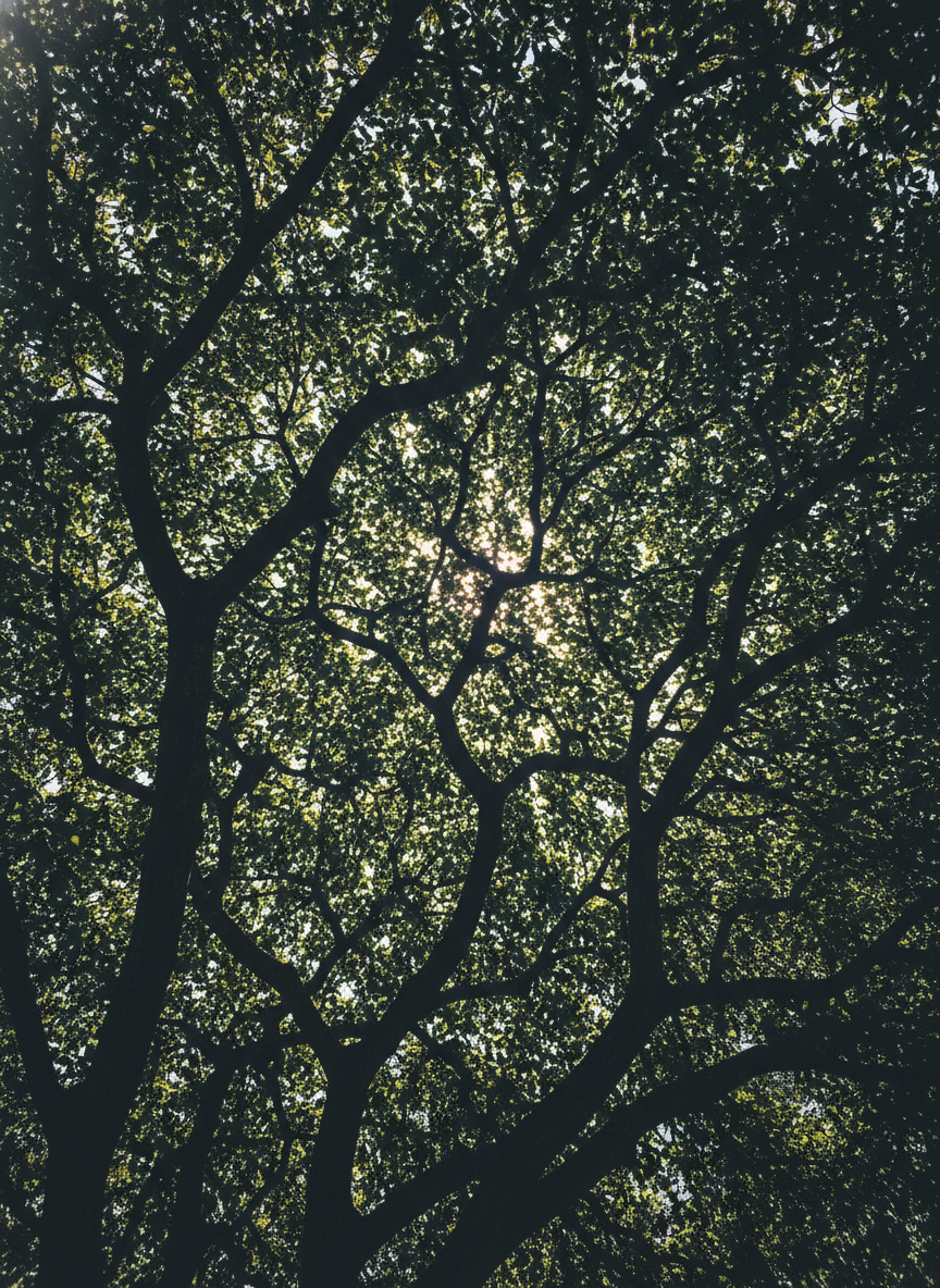 전문가들이 추천하는 금 장기 투자&amp;#44; 1억 만드는 확실한 방법