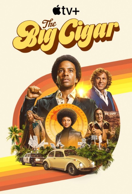 [미드 다시보기 추천] 코드네임 : 빅 시가 1화 2화 3화 4화 5화 6화 줄거리 결말