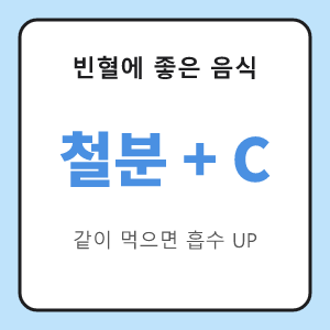 빈혈에 좋은 음식 철분과 비타민C