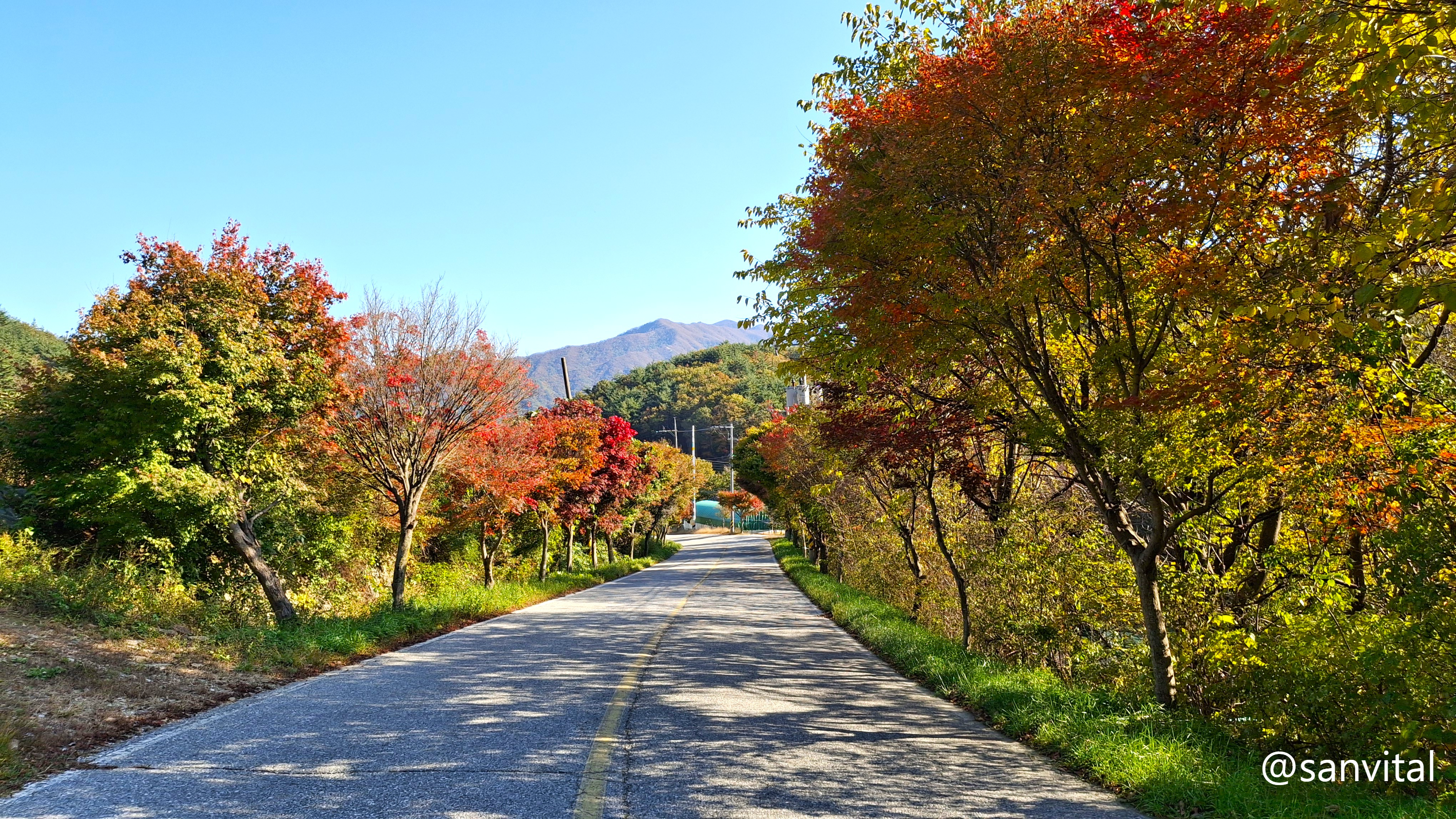 월성계곡 단풍 드라이브