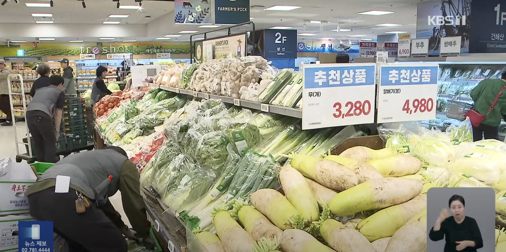김장철-배추김치-10kg-가격-판매배추