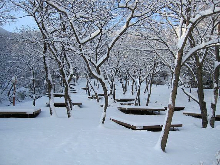운문산 자연휴양림