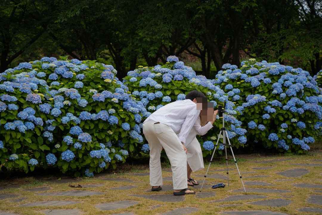 혼인지 커플 스냅