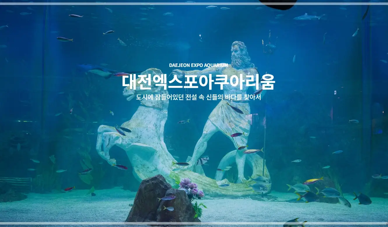 대전-신세계-아쿠아리움-입장료-할인-운영-시간