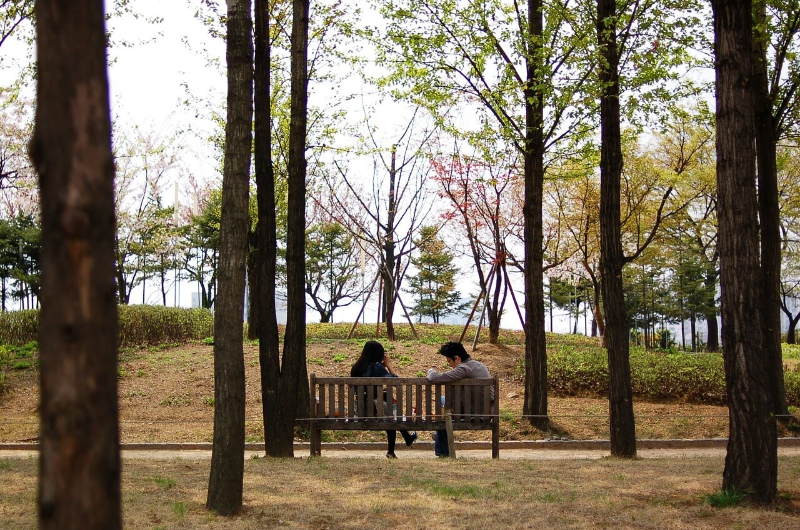 테무-쇼핑-후기