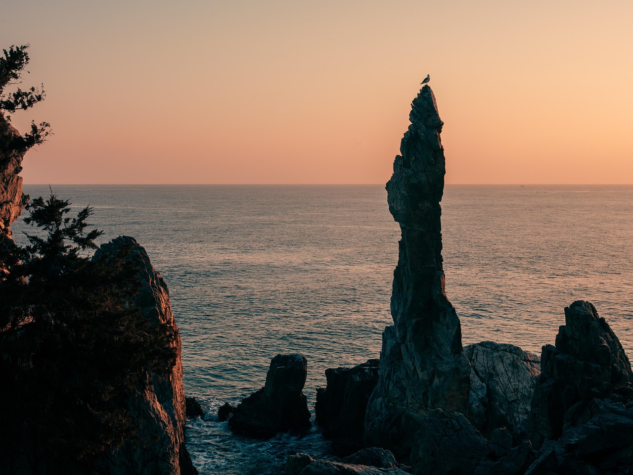 동해 추암 촛대바위 비렁길 관련 사진