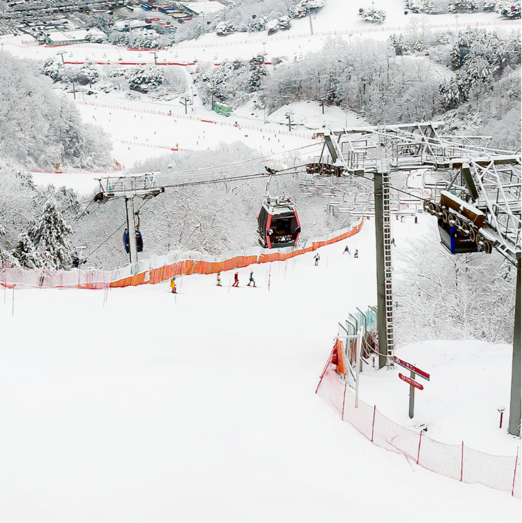 홍천 비발디파크