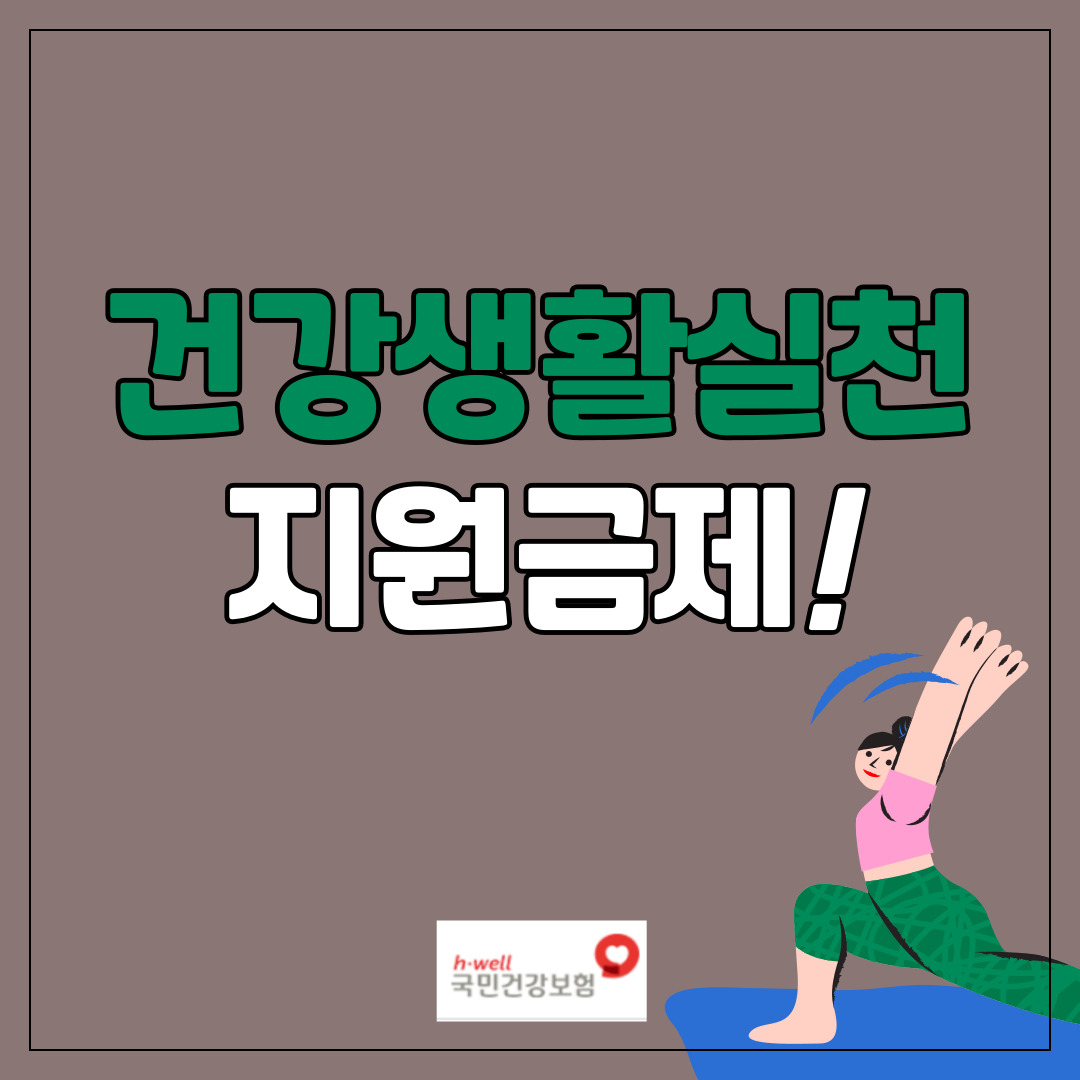 건강생활실천지원금제