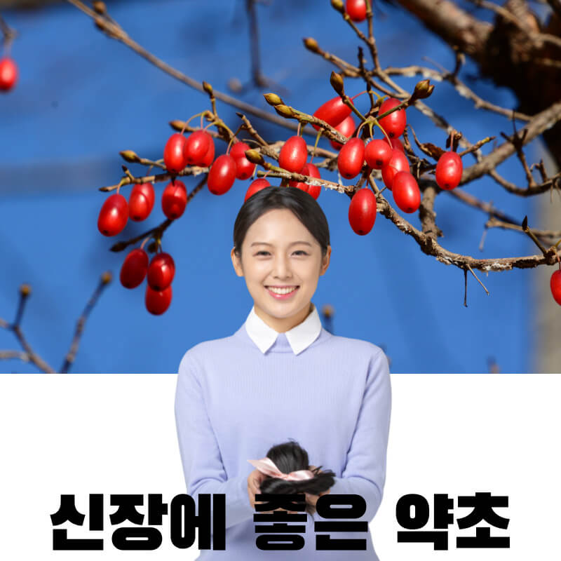 신장에 좋은 약초