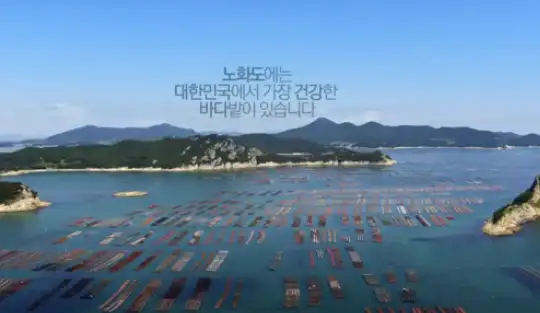 노화도 모습