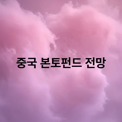 중국 본토펀드 전망