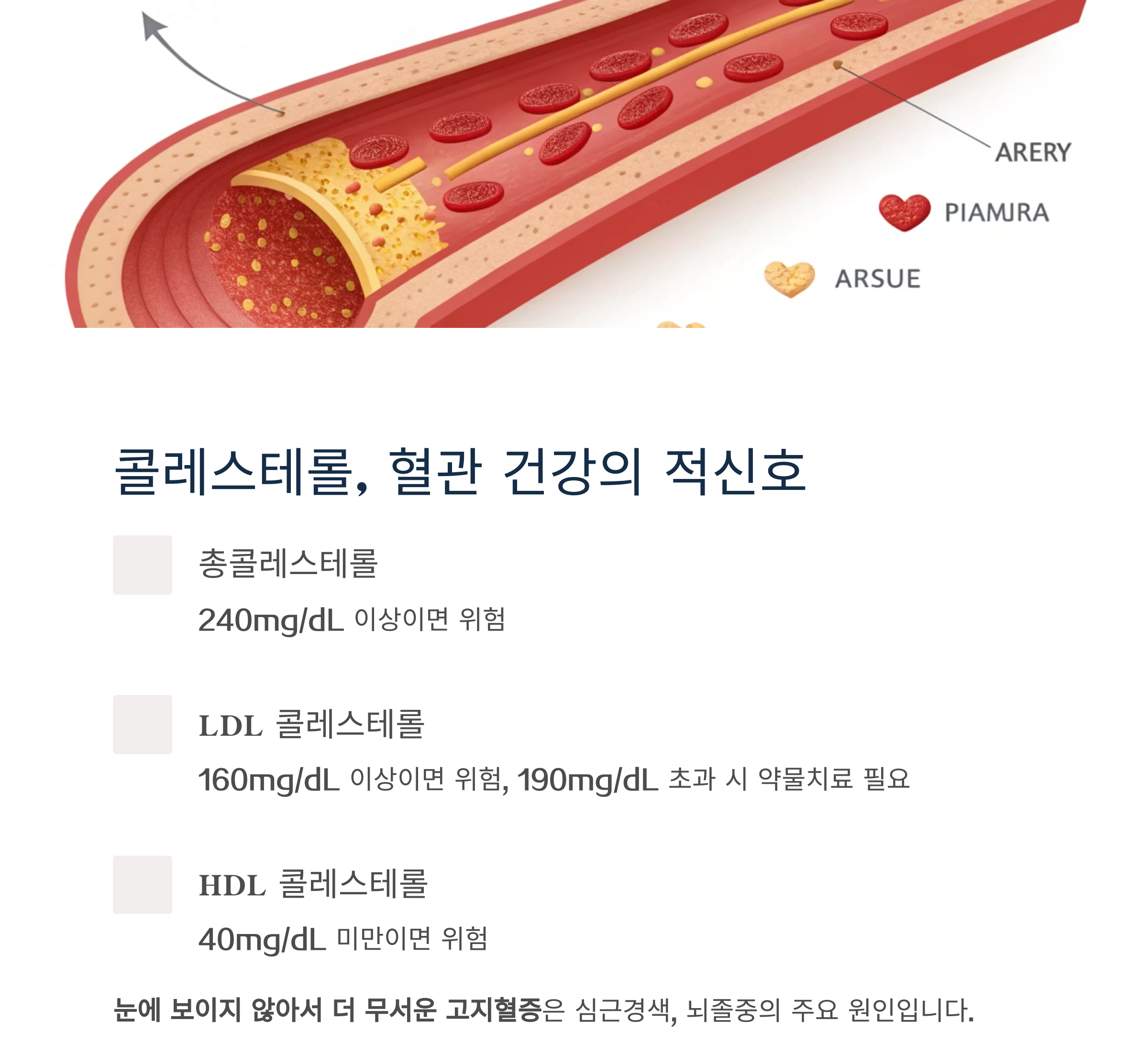 콜레스테롤 수치