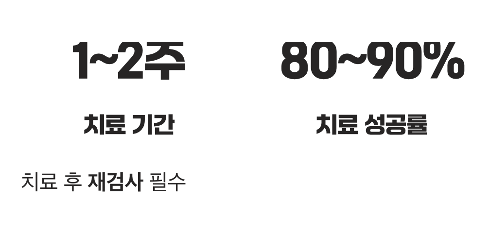 1~2주의 약속, 제균 치료의 과정