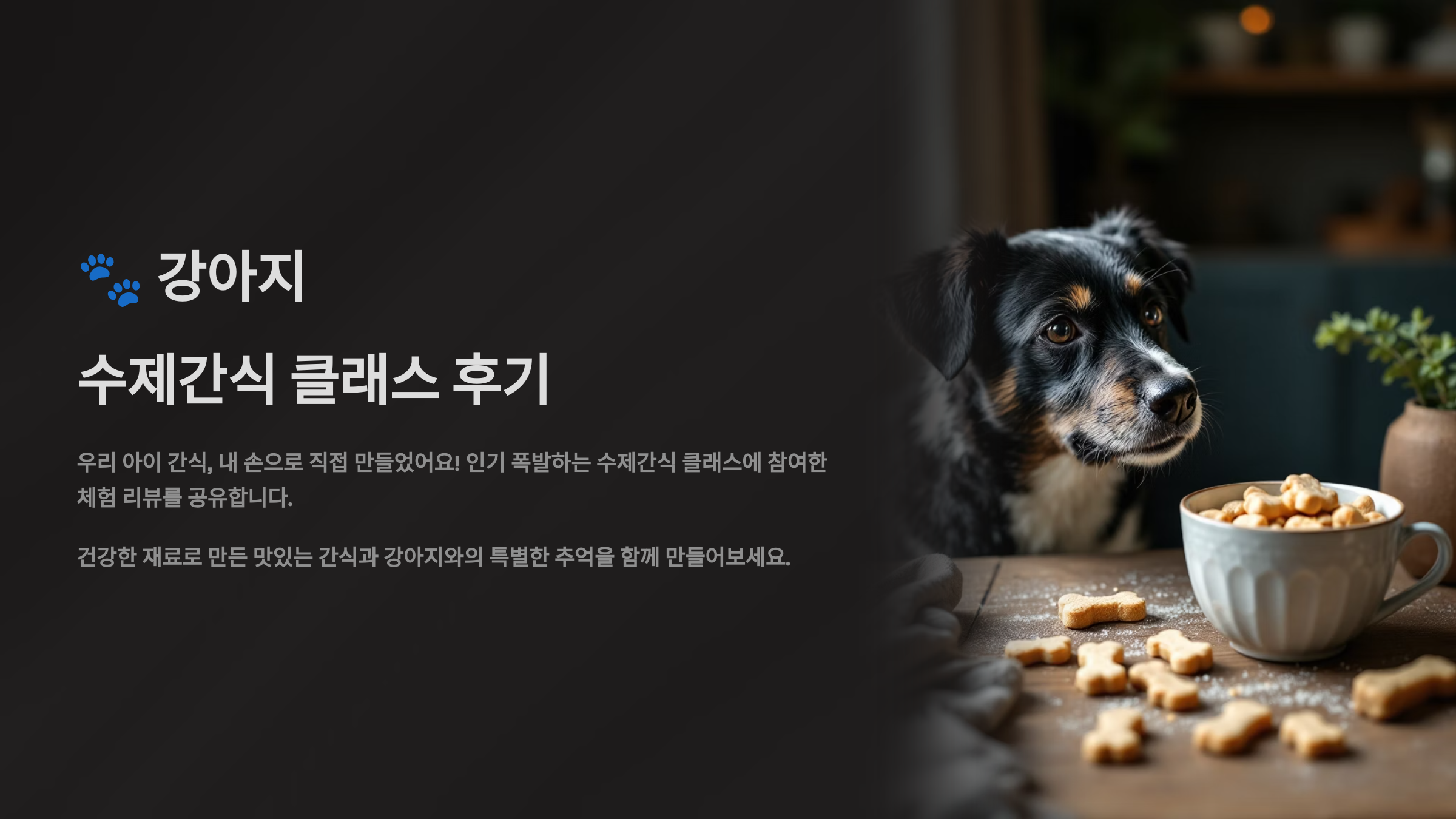 강아지 수제간식 클래스 후기! 우리 아이 간식, 내 손으로 만들었어요