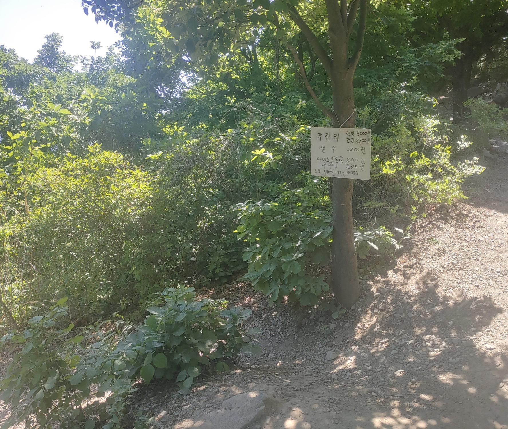 계양산 정상 얼음물