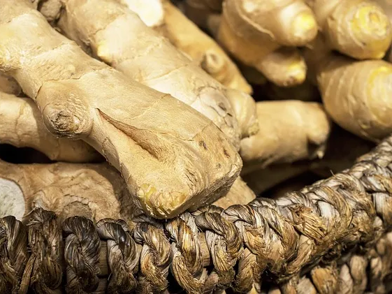 생강 만성 염증에 도움