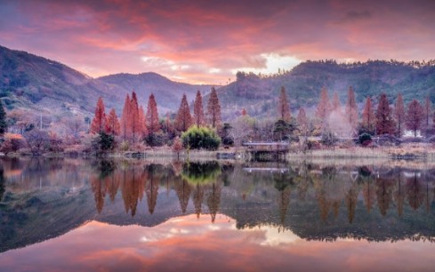 [나주 여행지 추천] 나주 가볼만한곳 10. 세지면 메타세쿼이아길