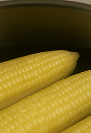 초당옥수수 삶는법