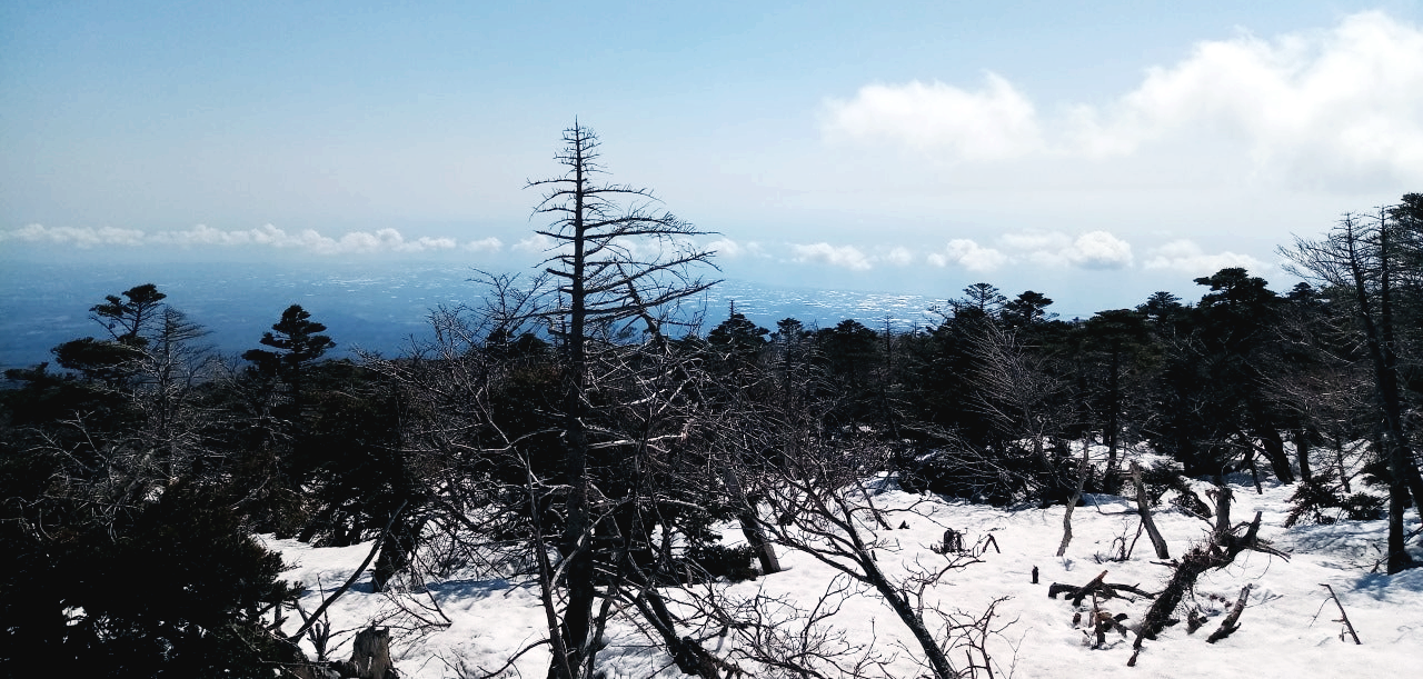 제주도 한라산