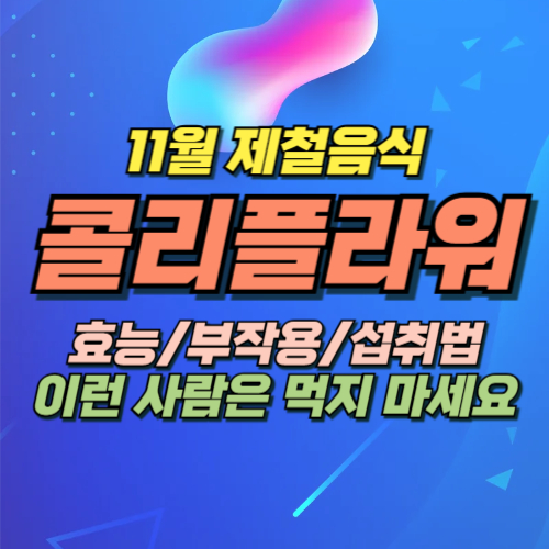 11월 제철음식 콜리플라워