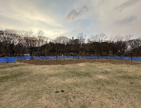 2025 서울국제정원박람회 가이드 총정리