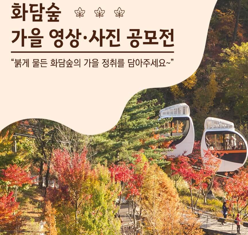 화담숲 가을 단풍축제가 11월 15일까지 한달간 진행합니다.