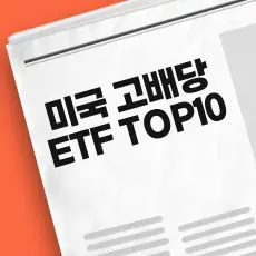 미국 고배당 ETF
