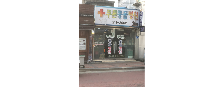 김제시 동물병원