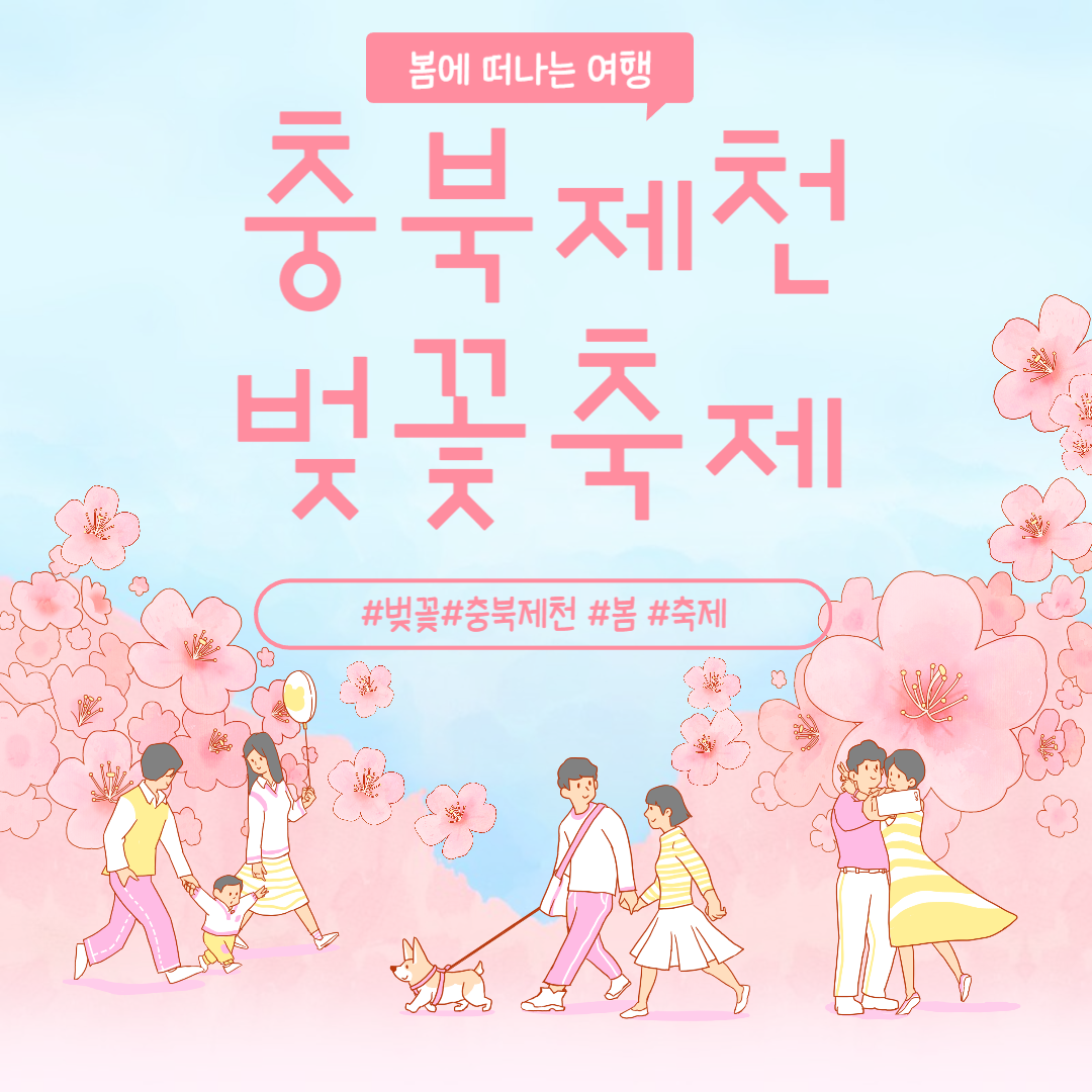 충북 제천 벚꽃 축제 예약 바로가기