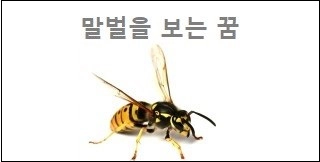 말벌을 보는 꿈